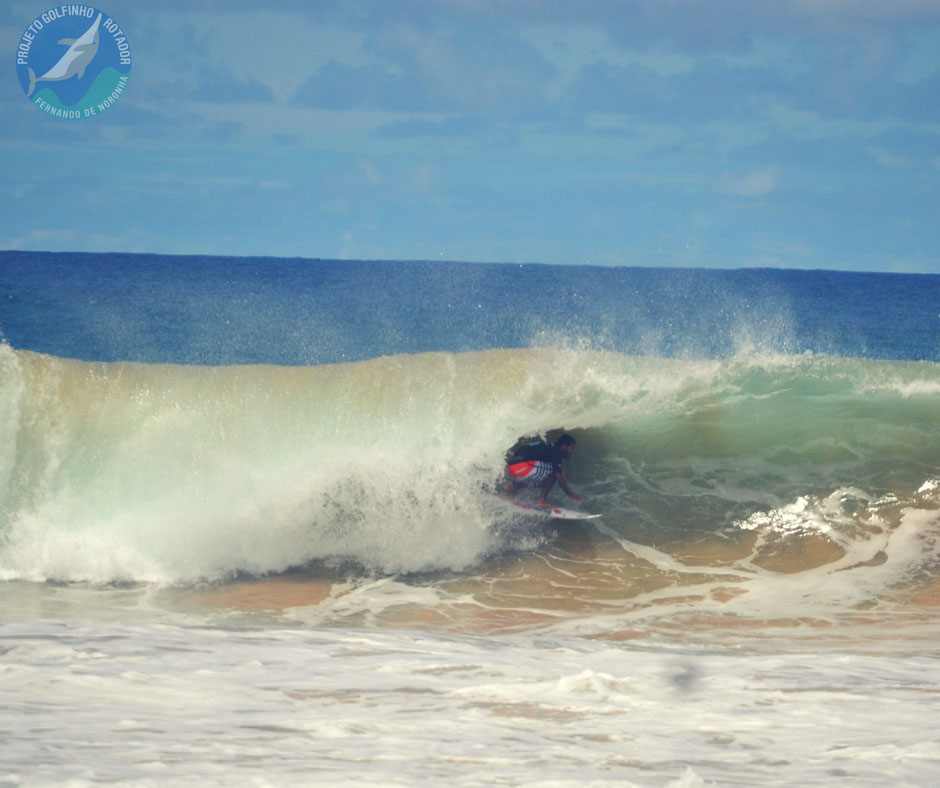 Dudu_Souza_FOTO_ProjetoGolfinhoRotador-01
