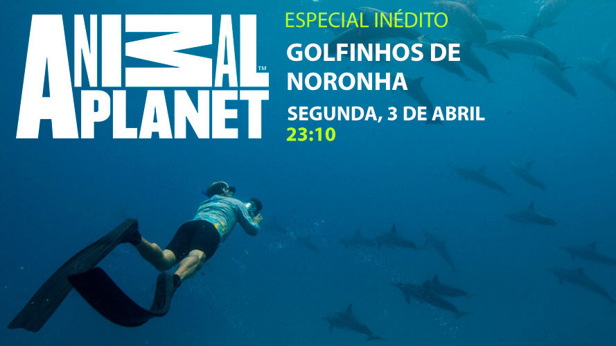 PGR-Animal-Planet